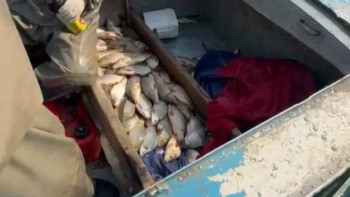 Фотография к новости: 130 кг рыбы незаконно выловили браконьеры в Туркестанской области