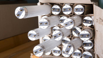 Фотография к новости: Тысячи опасных отходов годами хранились в подвалах школ в области Жетысу