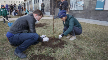 Фотография к новости: Таза Қазақстан: 18 млн деревьев высадили в городах и сёлах страны