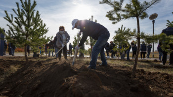 Фотография к новости: Таза Қазақстан: Казахстан перевыполнил план по озеленению населённых пунктов