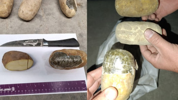 Фотография к новости: В Узбекистане пресекли крупную контрабанду наркотиков в "картофеле"