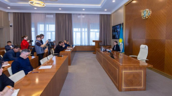 Фотография к новости: 111 тысяч саженцев выстадят в Восточном Казахстане в этом году