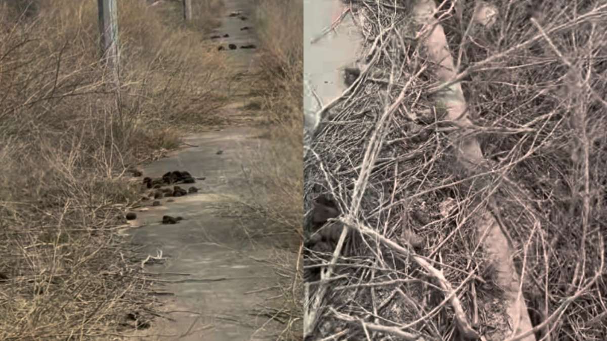  кадр из видео