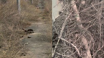 Фотография к новости: "Куда ушли деньги?": жители Атырау пожаловались на состояние тротуаров и дворов