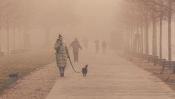 Фотография к новости: Загрязнение воздуха прогнозируют в пяти городах страны