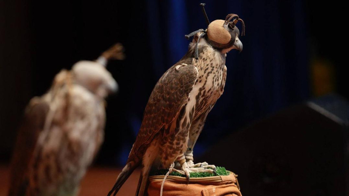  Комитет лесного хозяйства и животного мира