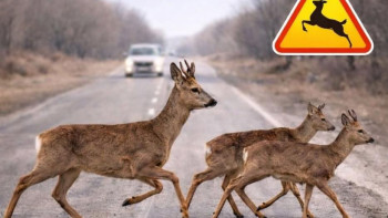 Фотография к новости: Водителей предупредили об опасности на дорогах