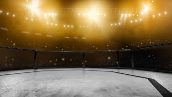 Фотография к новости: UFC может пройти в Казахстане уже этим летом