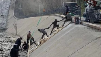 Фотография к новости: История из Алматы растрогала мир: памятник спасению собаки стал интернет-феноменом