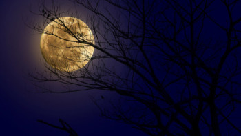 Фотография к новости: Редкое полнолуние в апреле: что важно знать