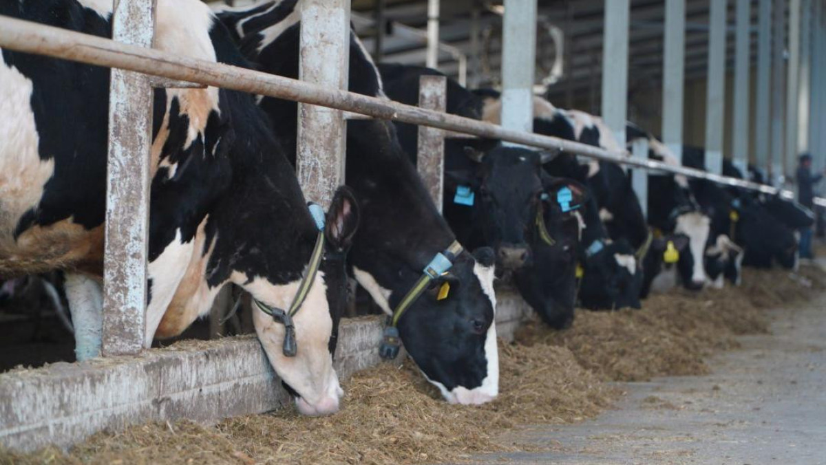  Акимат Акмолинской области