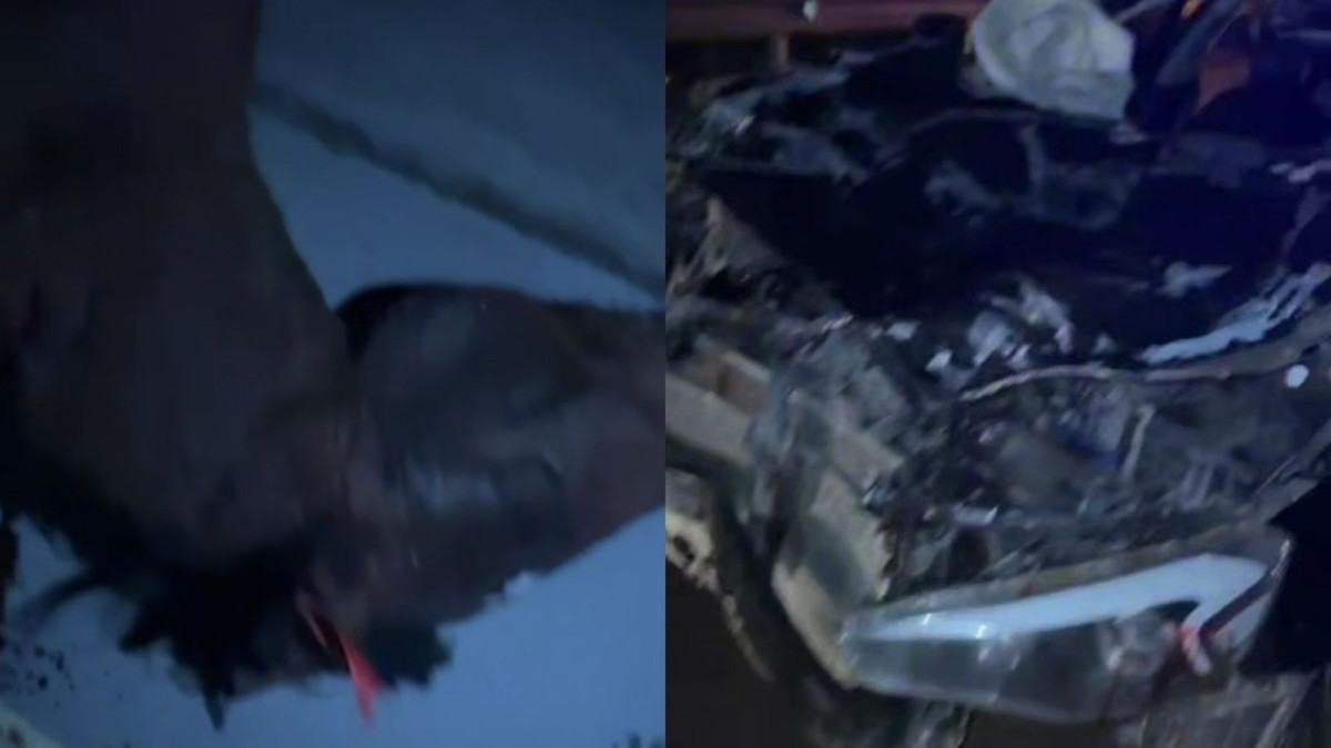  кадры видео