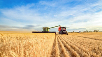 Фотография к новости: В Казахстане полностью цифровизируют субсидии в сельском хозяйстве