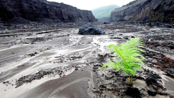 Фотография к новости: Сильные сели сошли по рекам в Азербайджане из-за проливных дождей