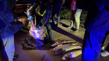 Фотография к новости: В Актау задержали мужчину с 40 кг красной рыбы