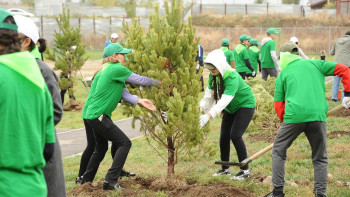 Фотография к новости: В Алматы начинается масштабное озеленение — что изменится