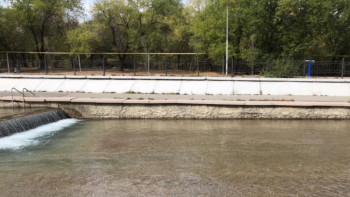 Фотография к новости: Акимат Алматы прокомментировал видео о «бетоне вместо гранита»