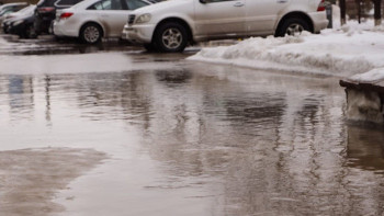 Фотография к новости: Гроза шквал и туман накроют ряд регионов Казахстана