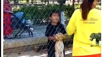 Фотография к новости: Посетители зашли в вольер с кроликами в зоопарке Шымкента