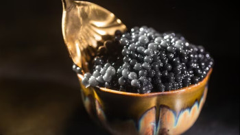 Фотография к новости: Незаконную закупку осетровой икры на 147 млн тенге сорвали в Атырауской области