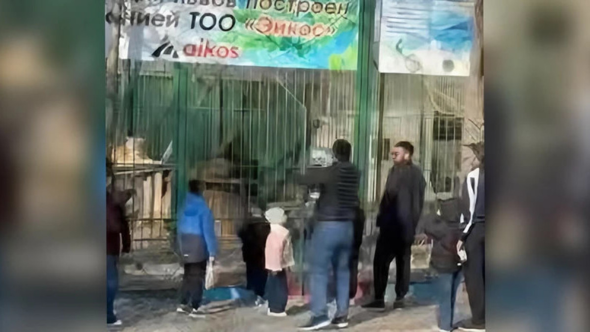  скриншот видео