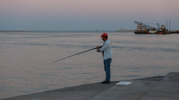 Фотография к новости: В Казахстане вложат 60 млрд тенге в рыбное хозяйство