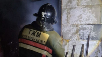 Фотография к новости: Хозяйственная постройка вспыхнула в Акмолинской области