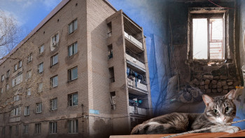 Фотография к новости: Коммунальный ад в промзоне Астаны: Пятиэтажка загнивает на глазах у жильцов