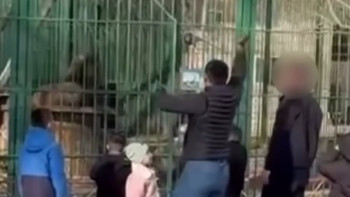 Фотография к новости: Двух мужчин наказали за нападение на львов в биоцентре в области Абай