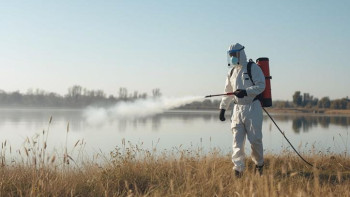 Фотография к новости: Как Балхаш борется с комарами этим летом