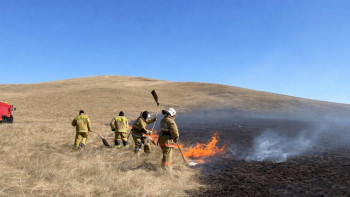 Фотография к новости: Сухая растительность загорелась в Акмолинской области