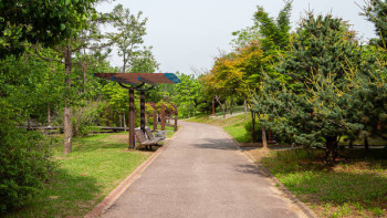 Фотография к новости: 3 экопарка появятся в Восточном Казахстане