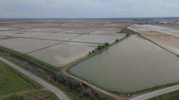 Фотография к новости: В южных районах страны промыли почвы