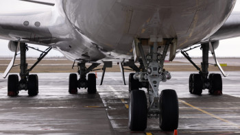 Фотография к новости: Самолет FlyArystan сбил собаку после приземления