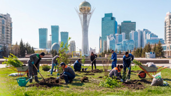 Фотография к новости: Какие районы Астаны в этом году засадят деревьями