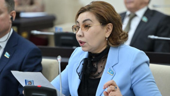 Фотография к новости: Бибигуль Жексенбай предложила усилить защиту работников в сфере доставки и такси