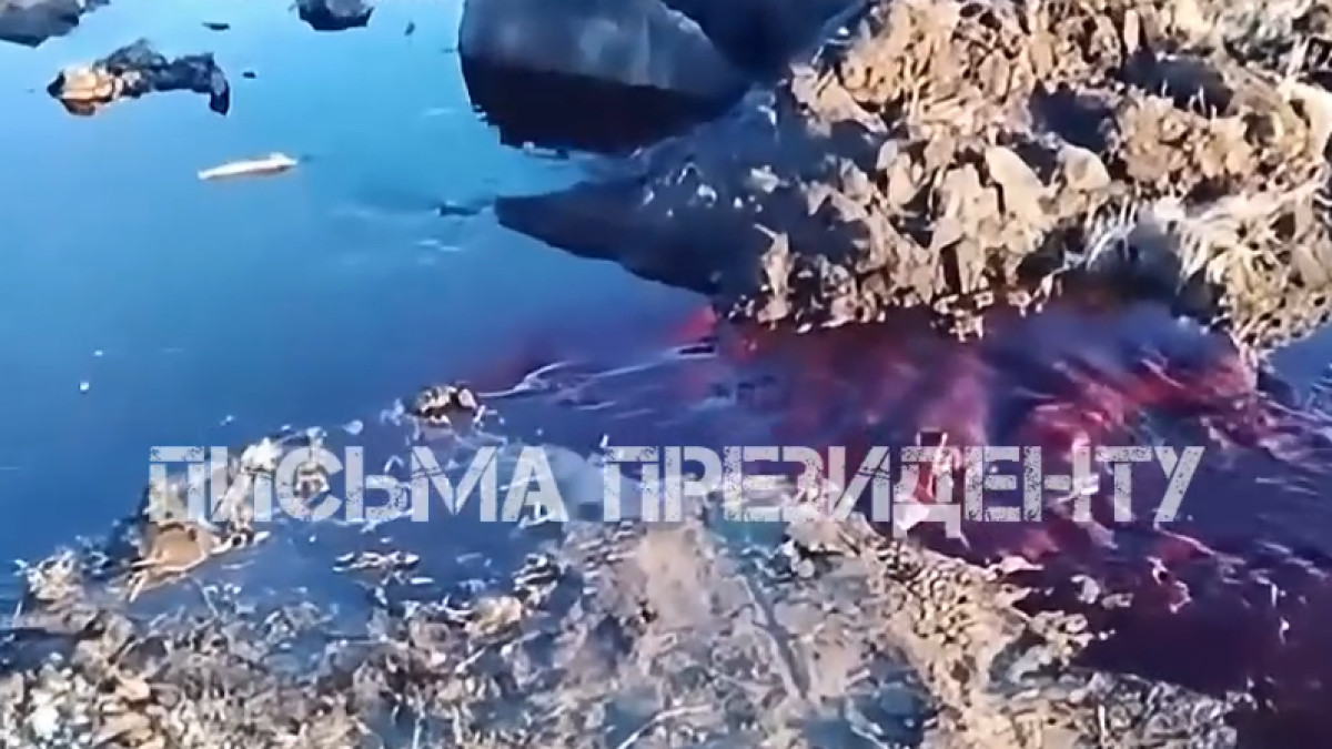  кадр из видео