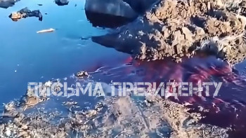 Фотография к новости: Источник загрязнения в Щучинске связали с частным мясокомбинатом