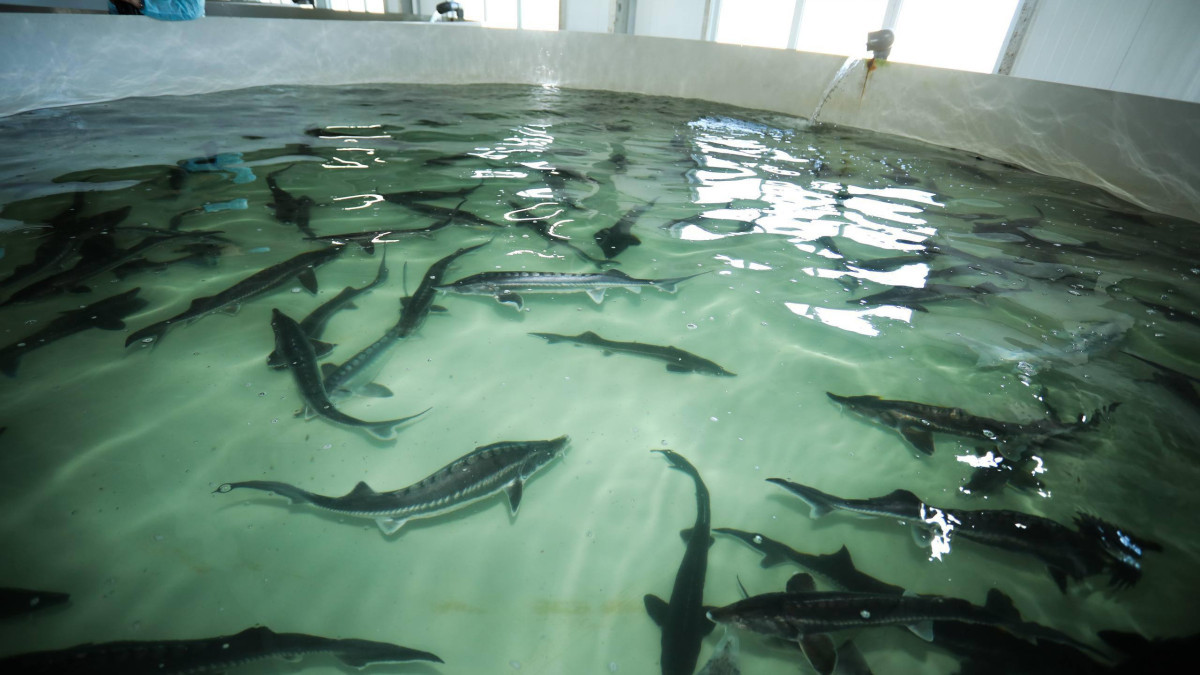  Акимат Мангистауской области