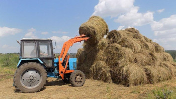 Фотография к новости: В Азербайджане 25-летний мужчина погиб во время сельхозработ