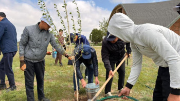 Фотография к новости: В Казахстане прошла республиканская акция «Мәдени мұраны бірге сақтайық»