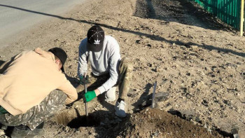 Фотография к новости: В одном из сел Абайской области модернизируют уличное освещение