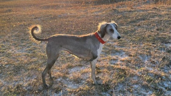 Фотография к новости: Новый праздник появится в календаре Казахстана