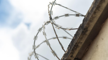 Фотография к новости: Более 1500 осужденных трудоустроены: что производят в колониях ВКО