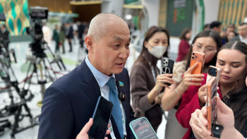 Фотография к новости: "В законе нет нормы об "отстреле" животных, это подмена понятий" - Жанбыршин