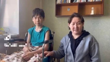 Фотография к новости: В Уральске стая собак напала на подростка: мать два года не может оформить инвалидность