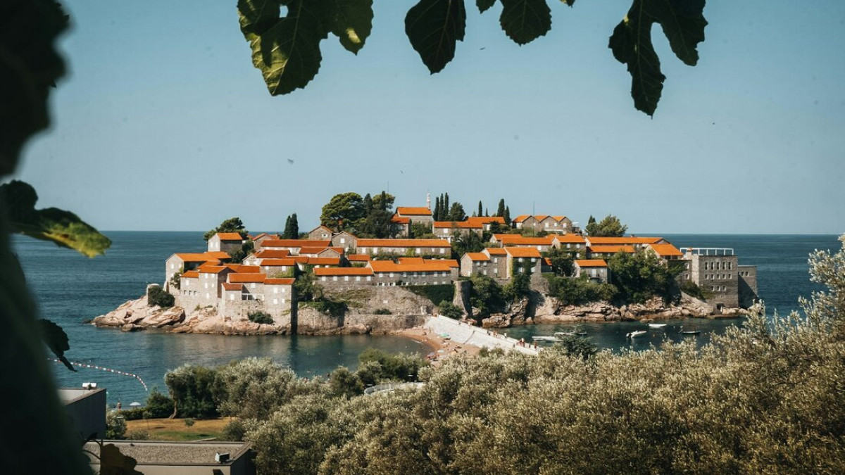  Petar Lazarevic / Unsplash