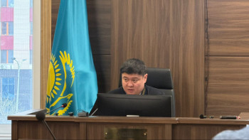 Фотография к новости: Толегенова не явилась в суд: ей стало плохо перед заседанием