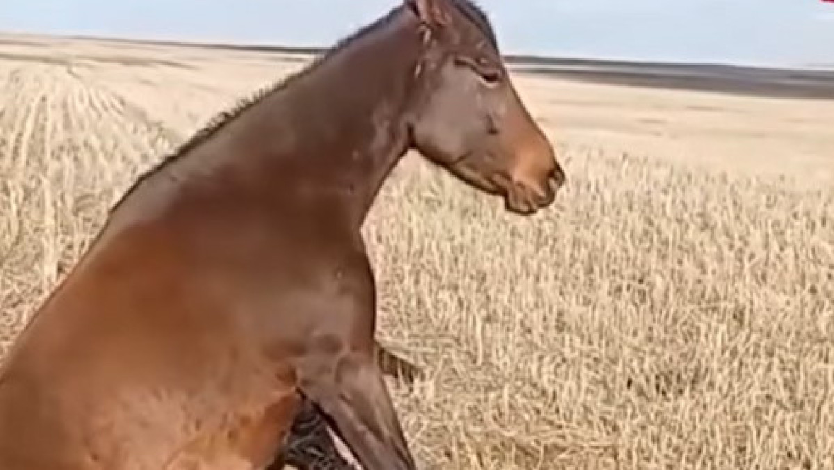  кадр из видео