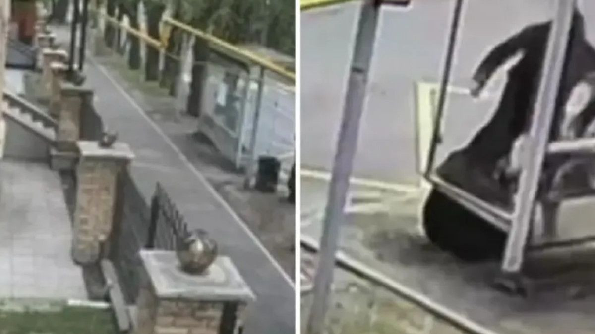  кадр из видео